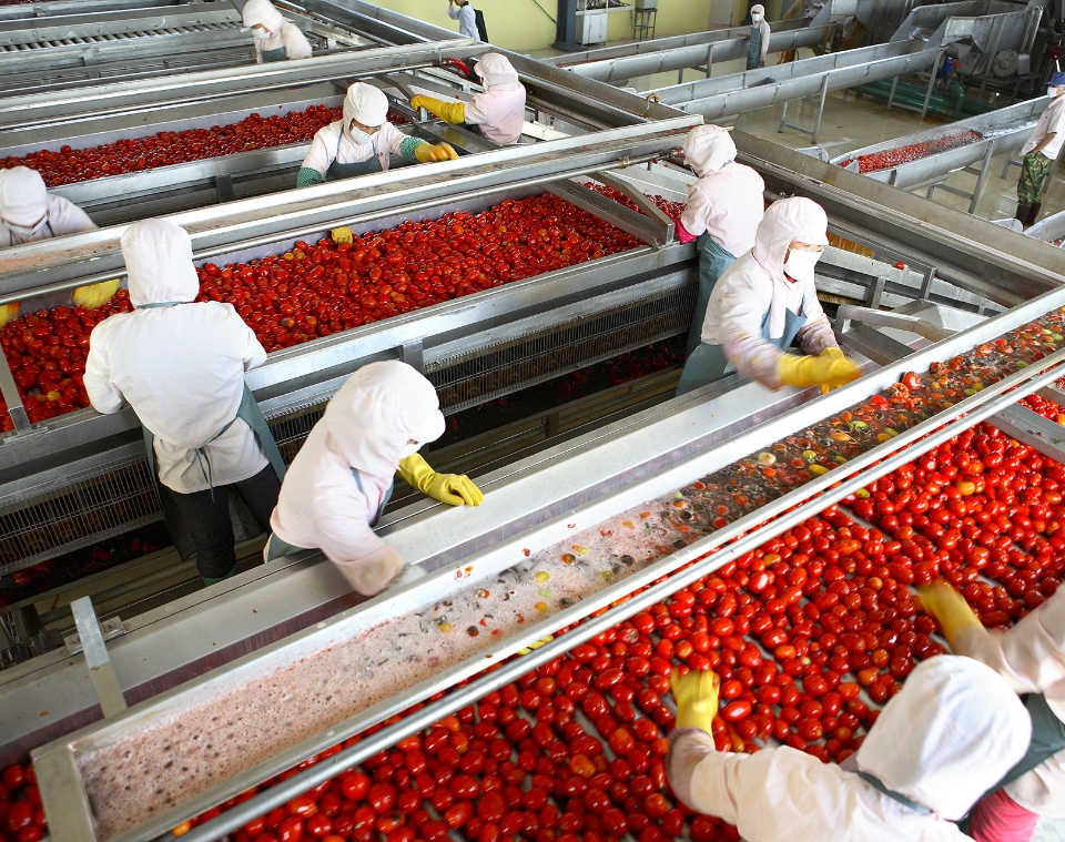 Tomato Paste Processing Lines